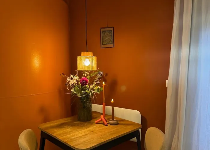 Tiny-House Van Zeecontainers Bij Het Bos Oranjewoud