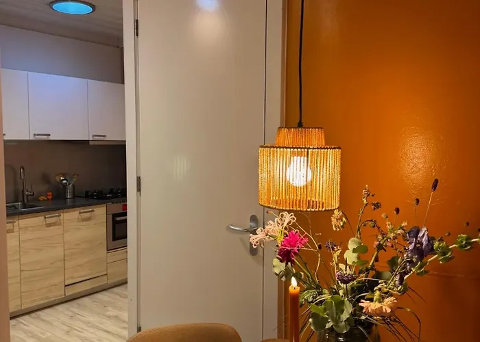 Tiny-House Van Zeecontainers Bij Het Bos Oranjewoud