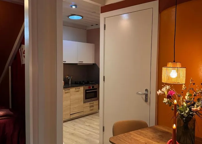 Tiny-House Van Zeecontainers Bij Het Bos Oranjewoud