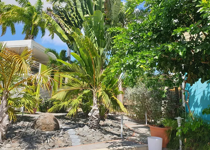 Majesty Palm Hotel Saint-Francois 