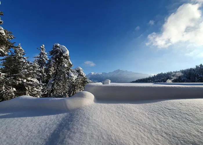 Laax Alpine Lodge By Quokka 360 - Apartment With Sun Terrace In The Mountains