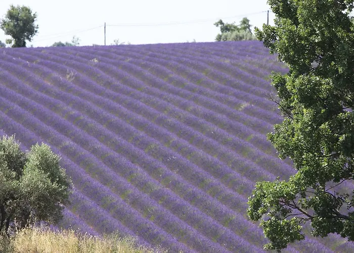 B&B La Grande Dame Valensole