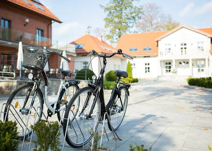 Hotel Lesny Dwor Sulęczyno