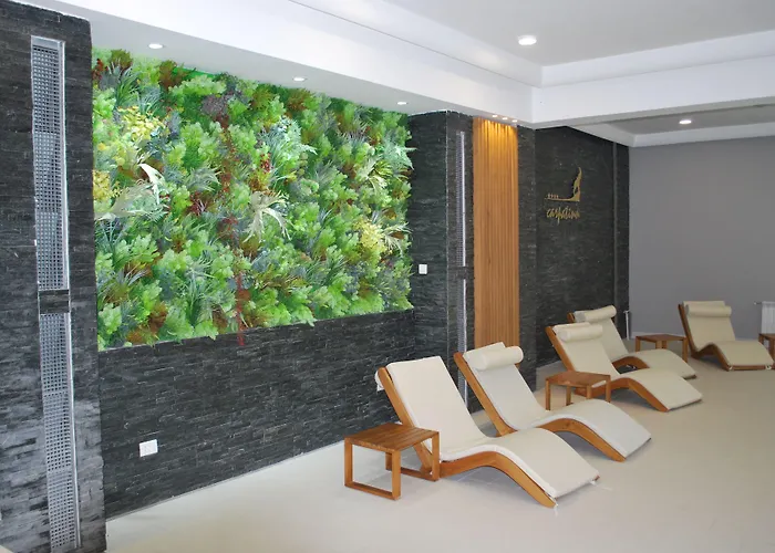 Hotel Carpat Inn Azuga