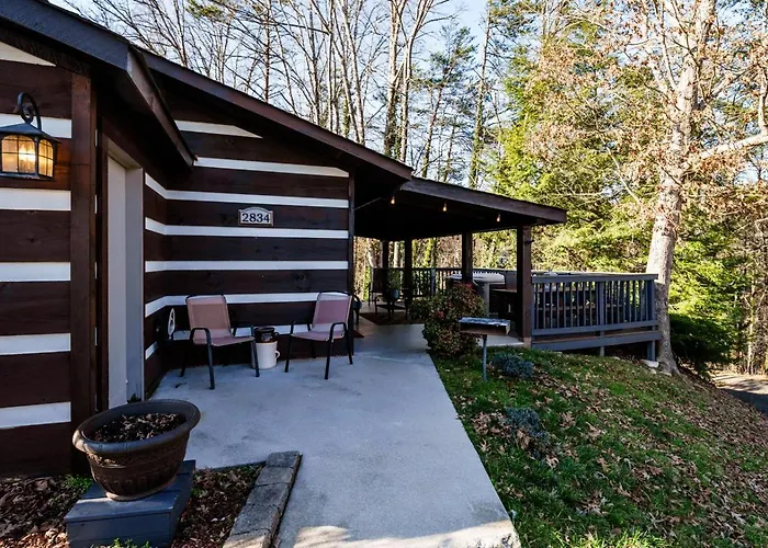 Wooded Bliss - Outdoor Hot Tub, Pet Friendly + Single Level Cabin! Pigeon Forge