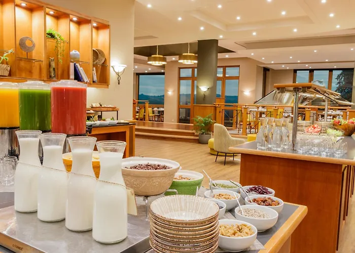 Park Lake Luxury Hotel Pucón
