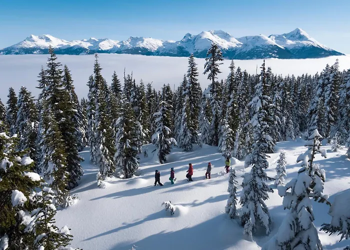 3Br In Lagoons, King Bed, Private Balcony, Village Location, Parking Whistler