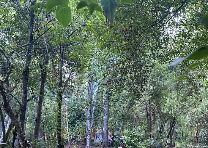 Camping Aldea Molco Pucón