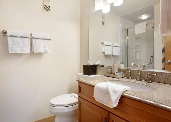 Simba Run Condo 1514 Vail