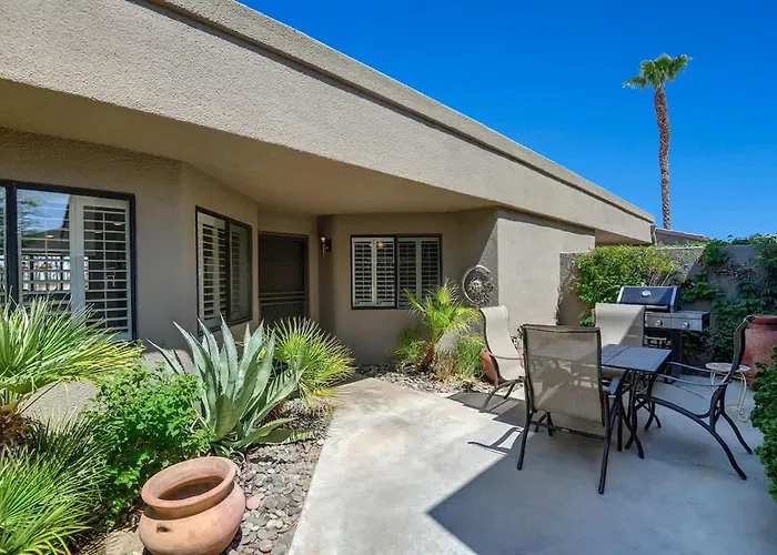 Vy630 - Desert Hock Palm Desert