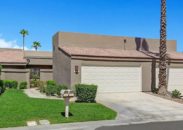 Vy630 - Desert Hock Palm Desert