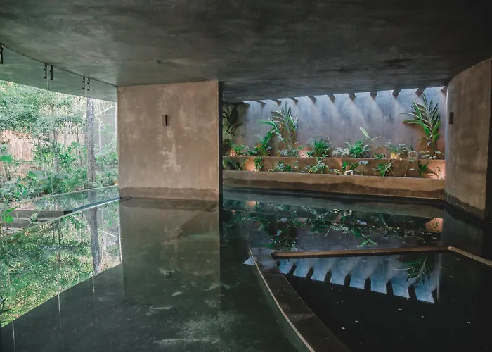 Magical 2 Penthouses & Apartment With 2 Private Pools And Jacuzzi Tulum