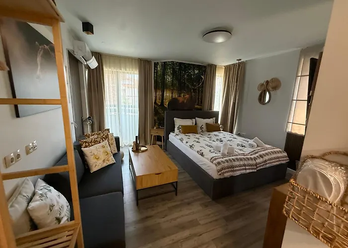 Luxury Studio1 In Hotel Friends Bansko