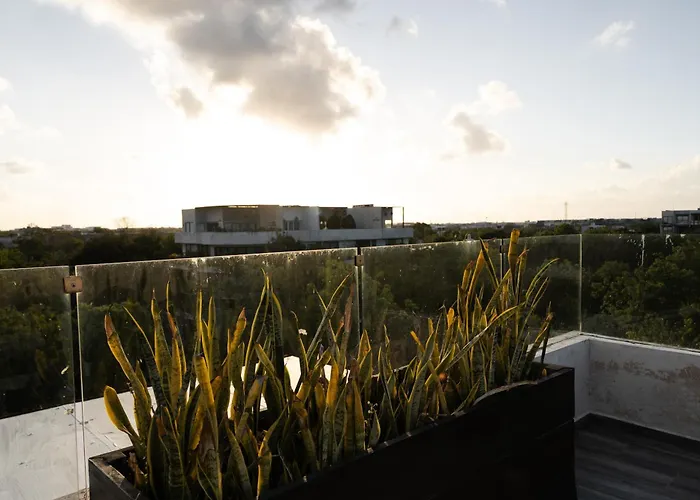 Amazing Penthouse & Apartment With Private Pool, Terrace , Roof Top And Hot Tub In Tulum Jungle