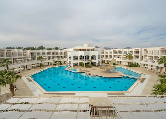 Hotel Jaz Neo Sharks Bay Sharm El-Sheikh