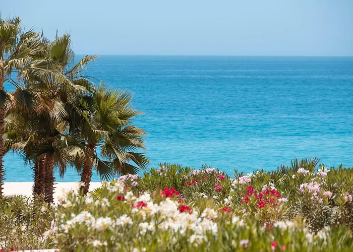 Relaxing Beachfront Condo San José del Cabo