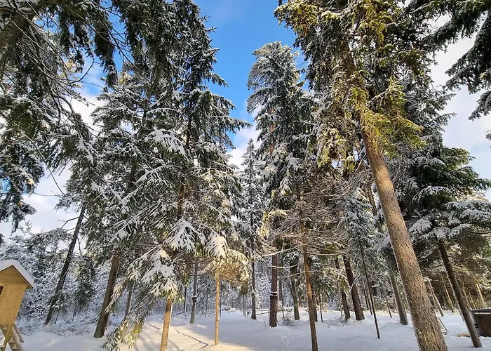 Villa Vlada Retreat Center And 2 Houses Garsmuiza