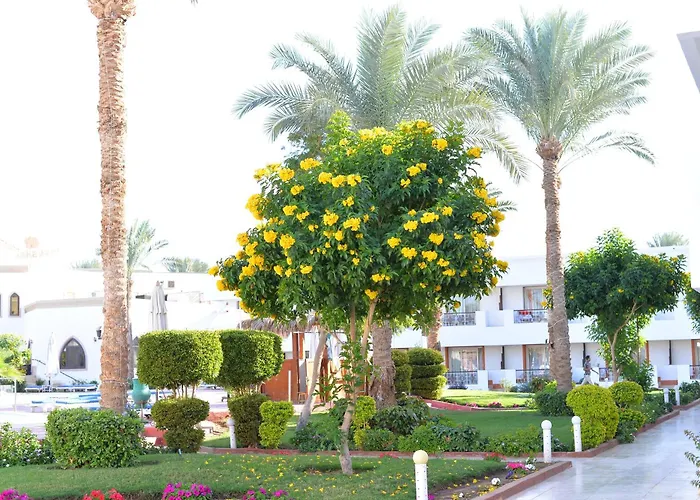Viva Suites Sharm El Sheikh