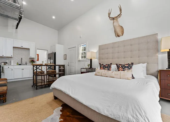 Villa Cactus Coterie - Hot Tub & Fire Pit Fredericksburg
