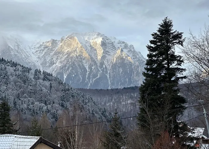 Twin Cabins Azuga