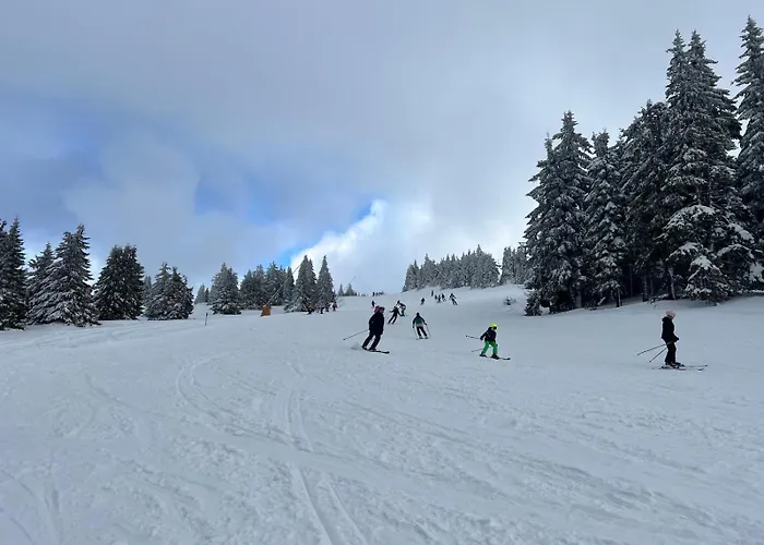 Kraljevi Cardaci Apartman Lux 10 Kopaonik