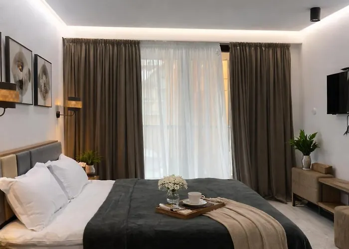 New Gudauri Four Seasons Apartments F2