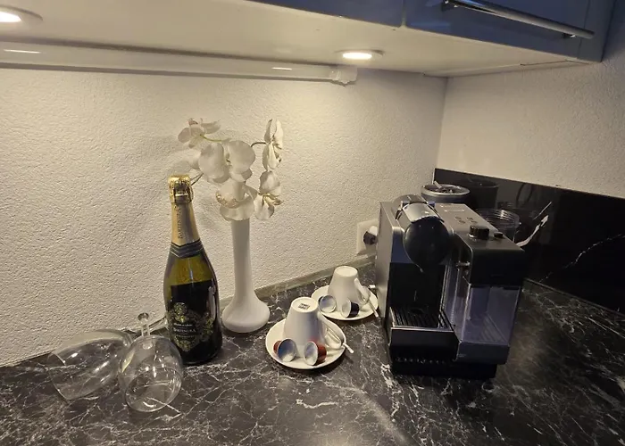 Exklusives 3 Zimmer Apartment Davos ca 7 Min Fussweg zum WEF Kongresszentrum