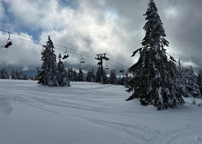 Kraljevi Cardaci Apartman Lux 10 Kopaonik