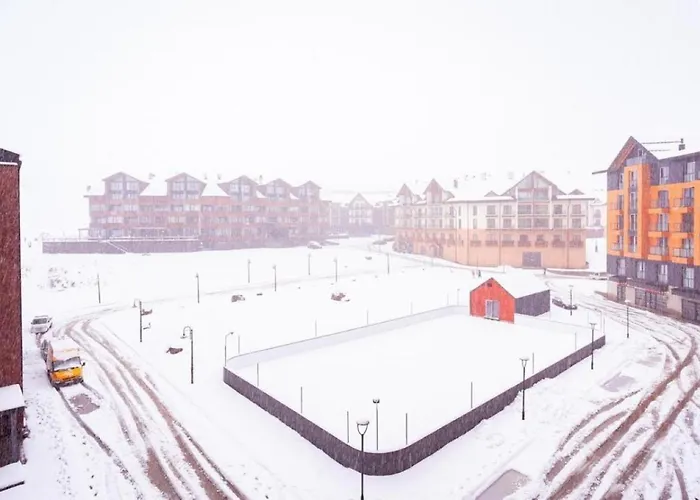 New Gudauri Four Seasons Apartments F2