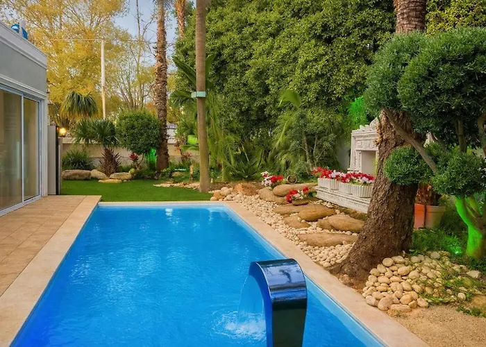 Private Villa With Six Bedroom Rischon LeZion