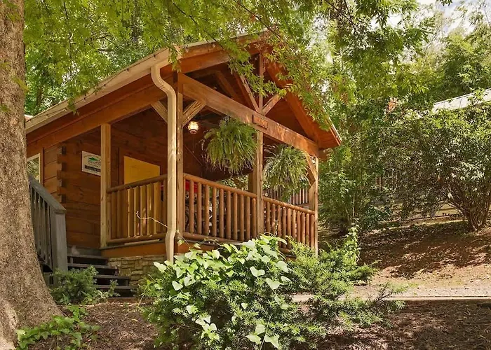 Ani Cabin Tiny Home Bordered By National Forest Chattanooga