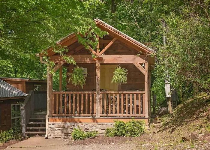 Ani Cabin Tiny Home Bordered By National Forest Chattanooga