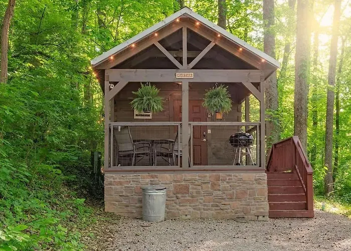 Martha Cabin Tiny Cabin By Downtown Chattanooga