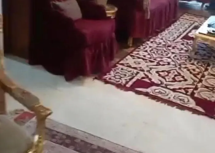 شقه دورين بنظام فيلا بالمهندسين Kairo