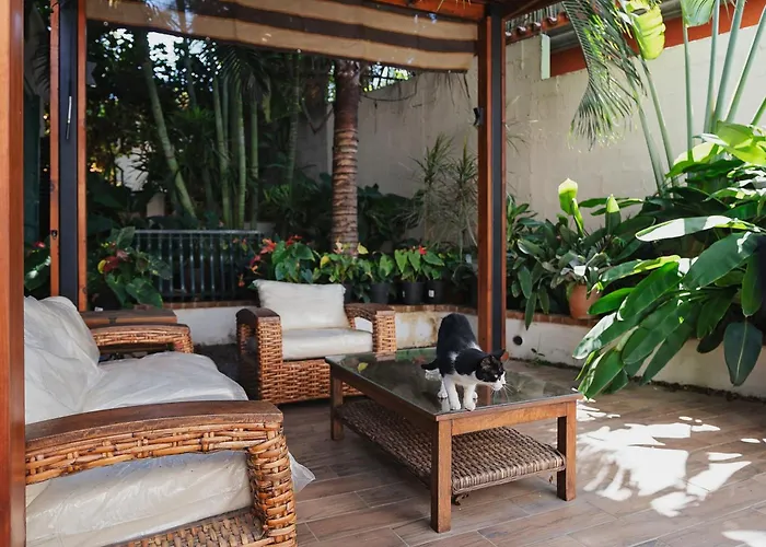 Ferienwohnung Casas Blancas, Planta Baja Todos Santos