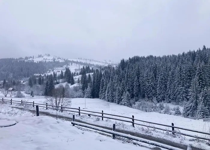 Котедж Holiday House Jablunyzja