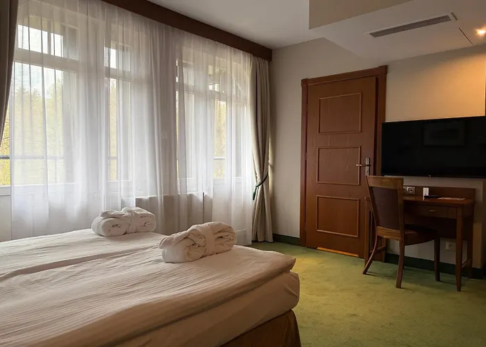 Bukowy Park Hotel Medical Spa Bad Altheide