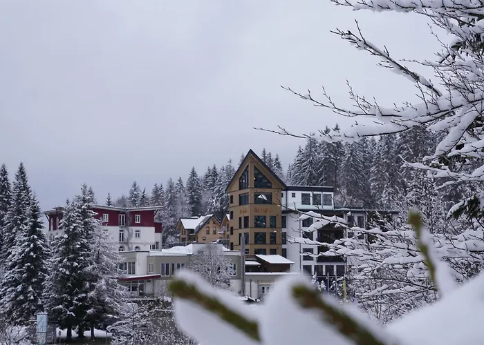 Das Waldhotel - Genuss&Wellness am Notschreipass Todtnau