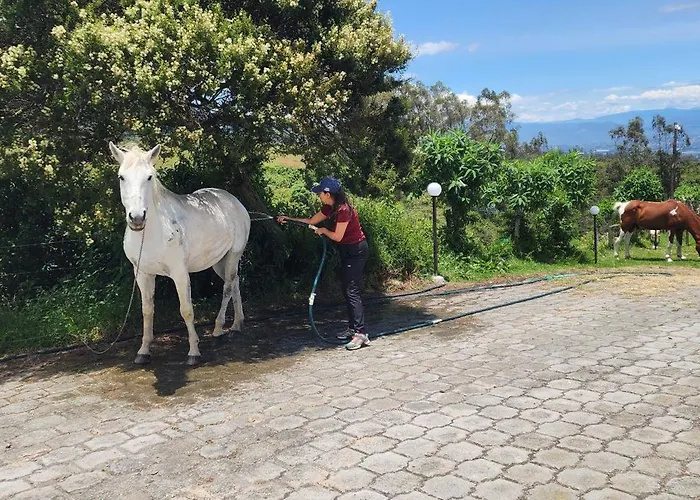 Hacienda San Nicolas De Cuicocha Cotacachi