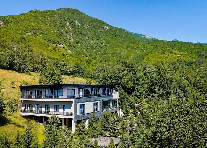 Resort Anes Drinit Peć