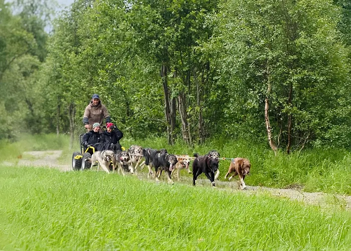 Holmen Husky Lodge Alta
