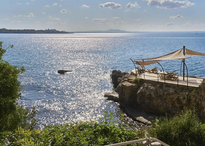 Hotel Barcelo Illetas Albatros - Adults Only