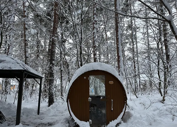 Origami Chalet With Open Air Bath Hakuba