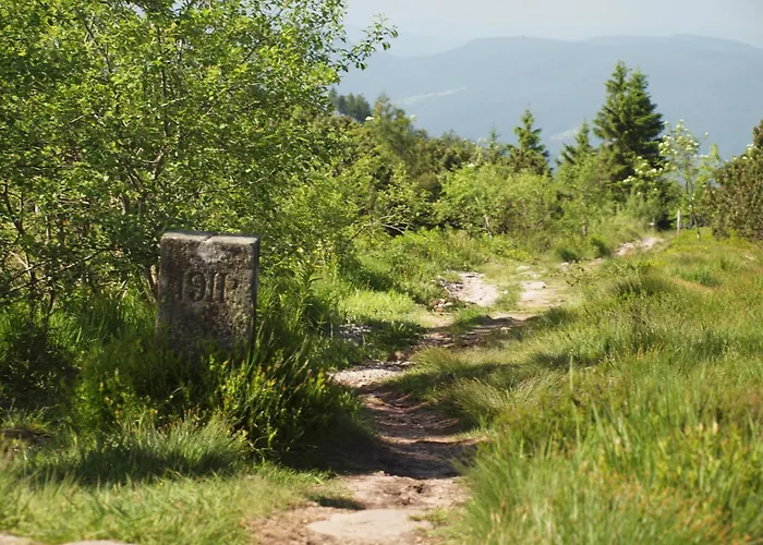 Nationalpark-Hotel Schliffkopf Baiersbronn