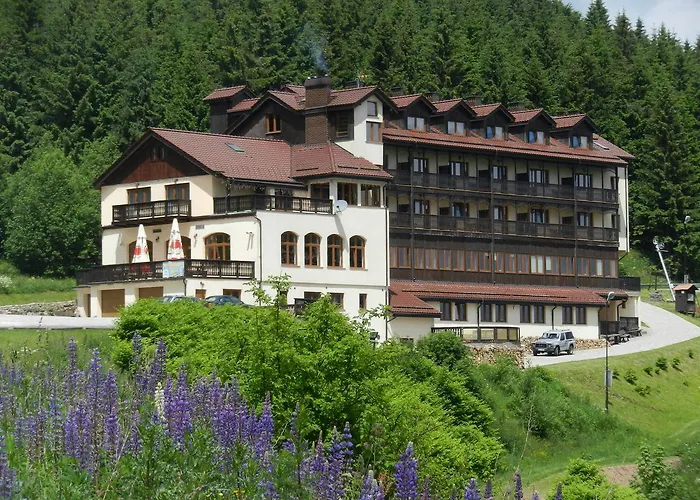 Hotel Zieleniec