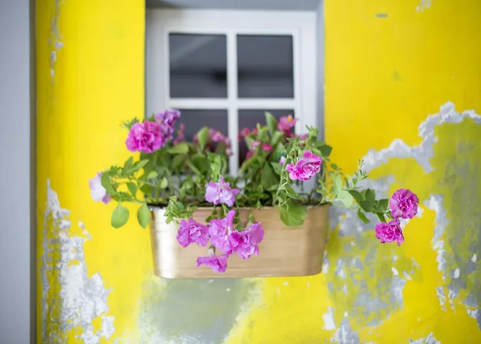 Hotel Miss Sophie'S New Town & Wellness Prag