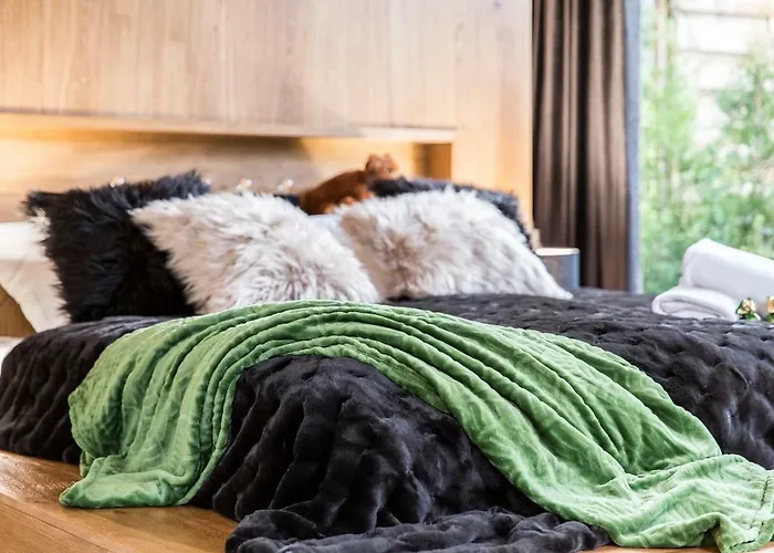 Nowy Komfortowy Apartament & Spa Grizzly De Lux Zakopane