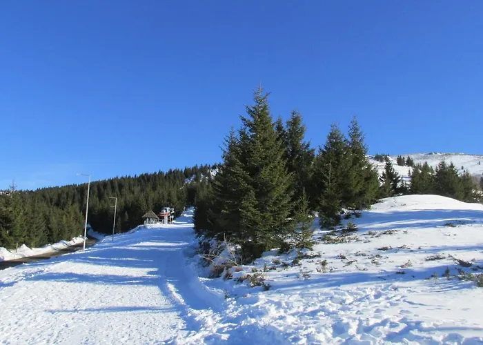Jopa Suncani Breg Kopaonik